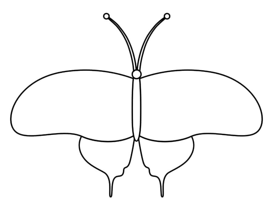 Butterfly Outline Art Kids Coloring Pages Pdf Free Vectors